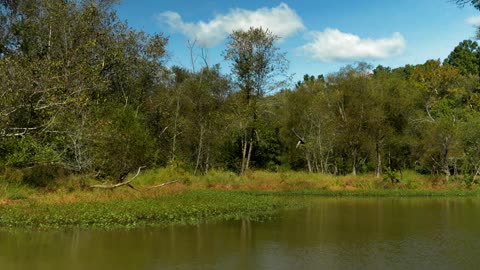 River scenery