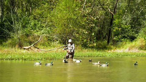 Wading the spread
