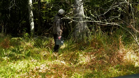 Carrying box to tree