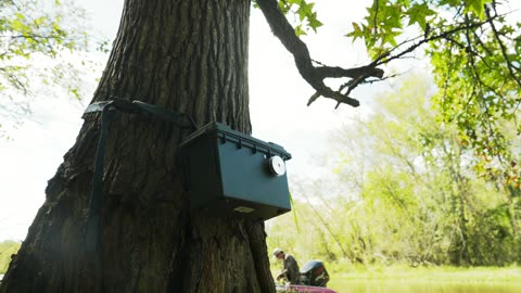 Box hero low angle