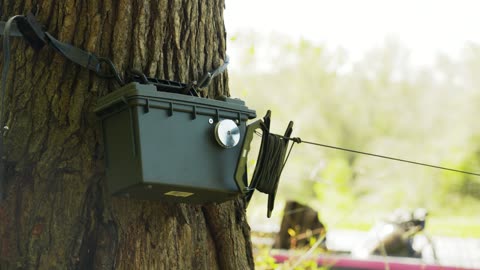 Box on tree, line out