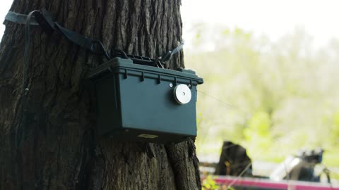 Box on tree