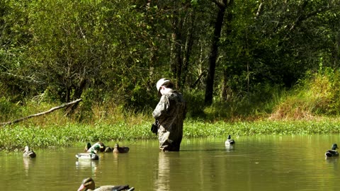 Wading