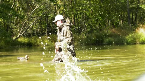 Splash