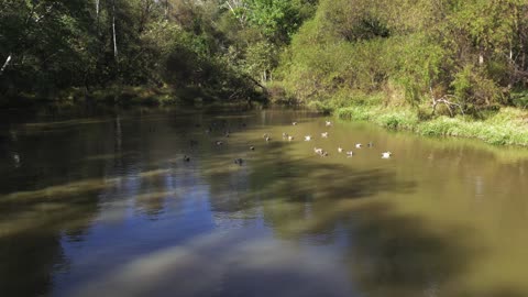 Drone decoys + reflection