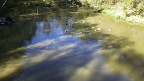 Drone boat + decoys
