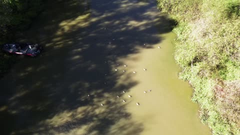 Drone boat + decoys